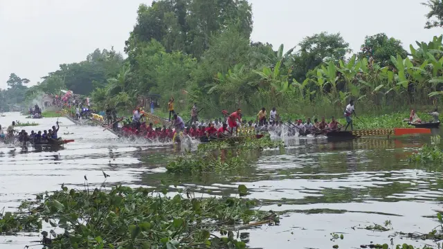 আধুনিকতার ছোয়ায় এখানো কোটালীপাড়ায় টিকে আছে বাঙ্গালীর ঐতিহ্যের নৌকাবাইচ