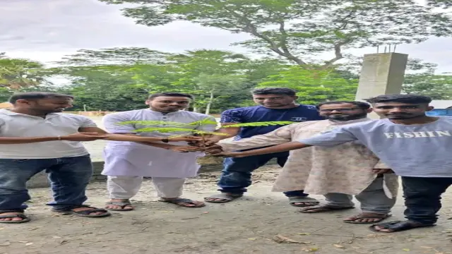 আল-ফাতহু ধলুর বাড়ী ফাউন্ডেশনের উদ্যোগে বৃক্ষরোপণ কর্মসূচি অনুষ্ঠিত