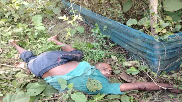 বাবুগঞ্জে সড়কের পাশ থেকে অজ্ঞাত ব্যক্তির  লাশ উদ্ধার