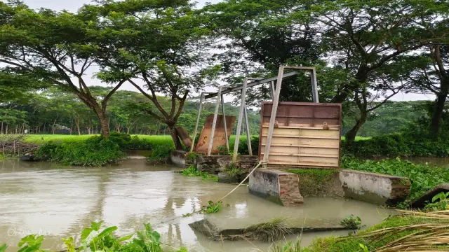 বাকেরগঞ্জের চরাদীতে ভাঙ্গা স্লুইজগেট যেন গলার কাঁটা , রাস্তা ফসলী জমি হুমকীতে; ভোগান্তিতে  জনগন