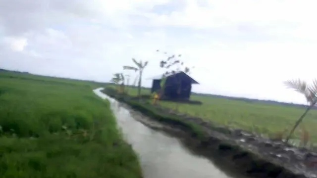 বামনার রুহিতার চরে শান্তি রক্ষায় আইনের প্রয়োগ জরুরি