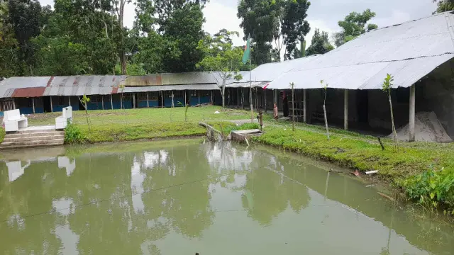 বাউফলের রাজাপুর বালিকা দাখিল মাদ্রাসা  এখন মৃত্যু ফাঁদ