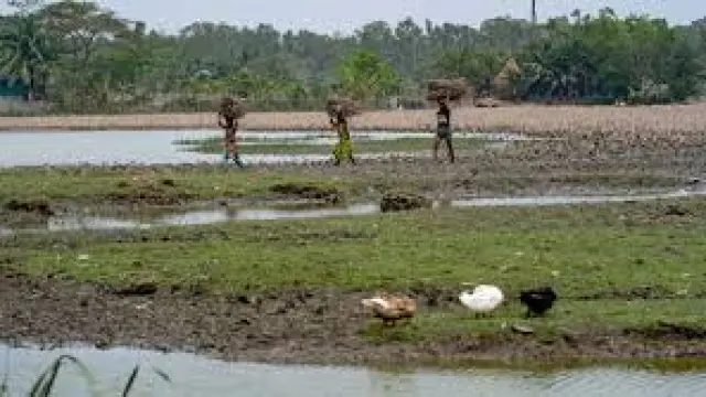বঙ্গোপসাগরের বুকে নিঝুম দ্বীপে মূল্যবান ভারী খনিজের সন্ধান
