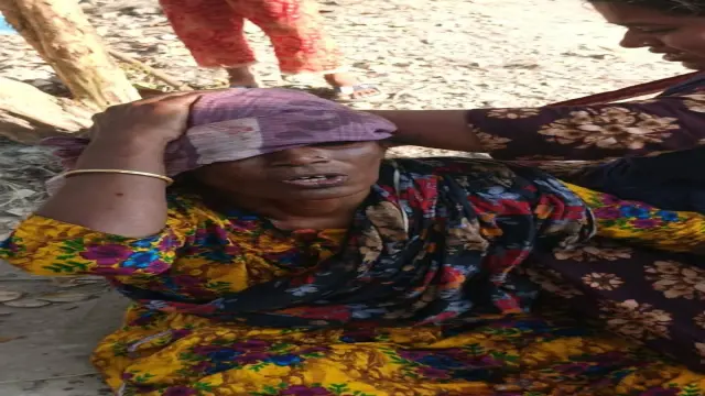 বরগুনার আমতলীতে ধানকাটা নিয়ে বিরোধ—রক্তাক্ত সংঘর্ষে আহত পাঁচ, দু’জন সংকটাপন্ন