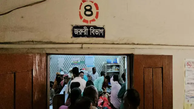 বরগুনার পাথরঘাটায় বেওয়ারিশ কুকুরের কামড়ে ১২ জন আহত, দুইজন গুরুতর"