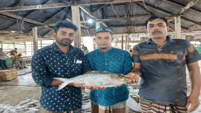 বরগুনায় জেলের জালে ধরা এক ইলিশে' ৯ হাজার টাকায় বিক্রি পাইকারের হাতে