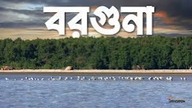 বরগুনায় ডেঙ্গু জ্বরে আক্রান্ত হয়ে শিক্ষিকার মৃত্যু