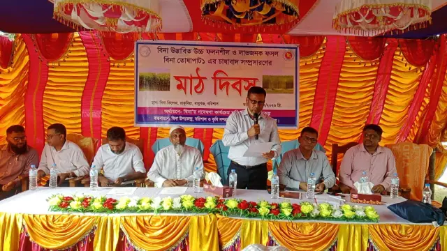 বরিশালে বাবুগঞ্জে বিনা তোষাপাট-১ চাষ সম্প্রসারণে মাঠ দিবস