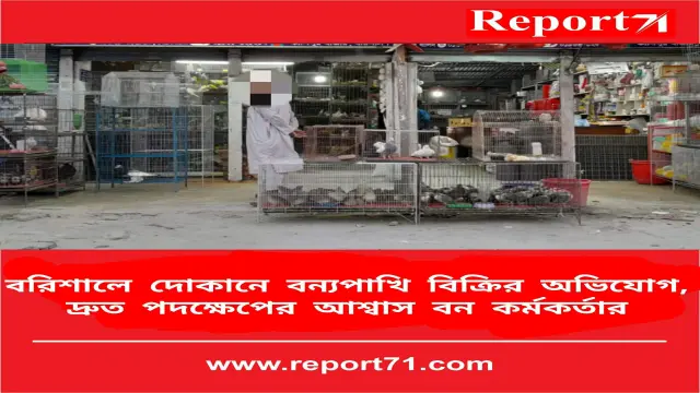 বরিশালে শহরে বন্য পাখি বিক্রি,দ্রুতই পদক্ষেপ গ্রহনের আশ্বাস বিভাগীয় বন কর্মকর্তার
