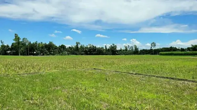 বর্ষা মৌসুমে খরা, জমি চাষে দুশ্চিন্তায় কৃষক