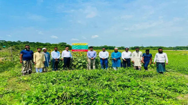 চরফ্যাশনে কৃষির উন্নয়নে নতুন মাত্রা পাটনার ফিল্ড স্কুল কংগ্রেস অনুষ্ঠিত