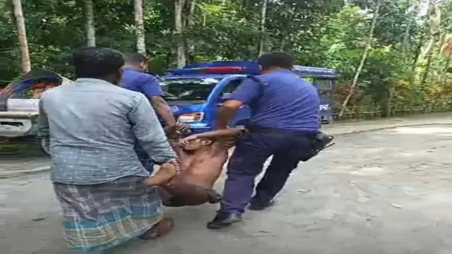 ডাব চুরি করতে গাছে উঠে ভিমরুলের কামড়ে নিচে পড়লেন চোর, উদ্ধার করল পুলিশ