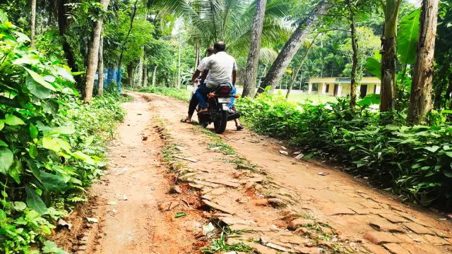 দুই যুগেও সংস্কার হয়নি সিংহেরকাঠি-ছোট মীরগঞ্জ সড়ক, দুর্ভোগে হাজারো মানুষ।
