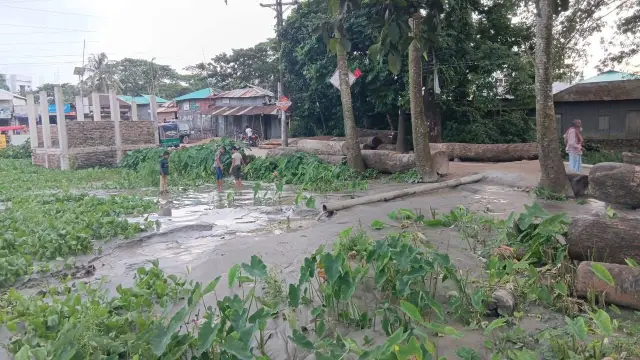 দুলারহাট মুক্তিযোদ্ধা পরিবারের ভূমিতে বালিভরাট করে দখলের চেষ্টা