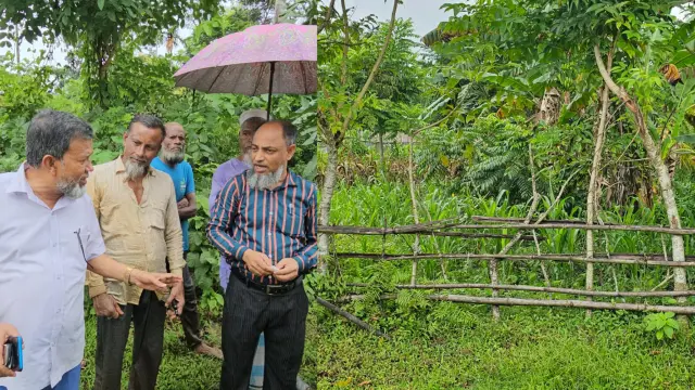 দুমকিতে সরকারি রাস্তায় বাঁশের বেড়া দিয়ে চাষাবাদ ,৭ দিনের মধ্যে অপসারণের নির্দেশ।