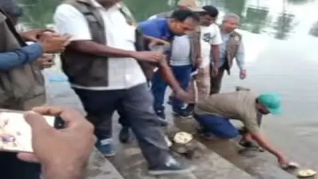 গলাচিপায় ১৭টি সন্ধি কচ্ছপসহ ১ জন আটক, বন বিভাগের অভিযান