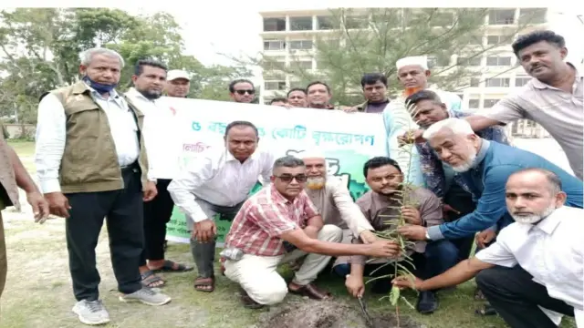 গলাচিপায় ৫ বছরে ২৫ কোটি বৃক্ষরোপণ কর্মসূচির উদ্বোধন
