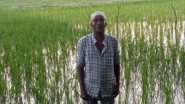 গলাচিপায় বিরোধীয় জমির সালিশ নিয়ে বিড়ম্বনা, চাষাবাদে অনিশ্চয়তা
