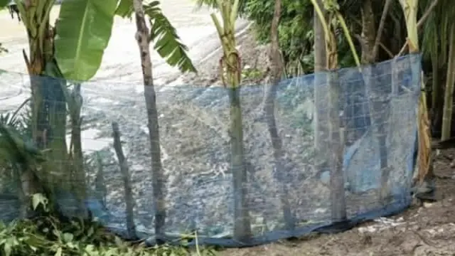 গলাচিপায় চলাচলের রাস্তা বন্ধ করে একটি পরিবারকে অবরুদ্ধ করার অভিযোগ