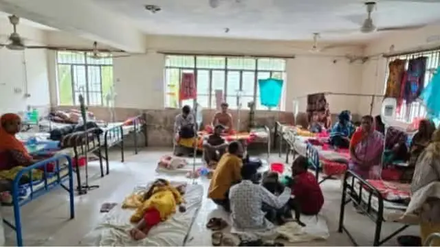 গলাচিপায় ডেঙ্গু শনাক্তের তথ্যে বড়ো গরমিল, প্রকৃত তথ্য নিয়ে প্রশ্ন