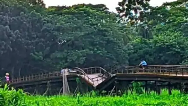 গলাচিপায় দুই ইউনিয়নের সংযোগ সেতুর বেহাল দশা, দুর্ভোগে হাজারো বাসিন্দা