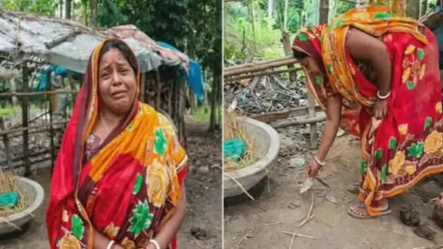 গলাচিপায় গরুচোরের উৎপাত বৃদ্ধি, একরাতে ফাঁকা দুই গোয়ালঘর