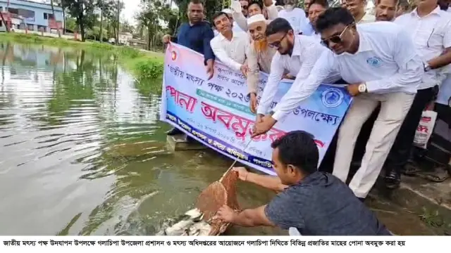 গলাচিপায় জাতীয় মৎস্য পক্ষ উদযাপন