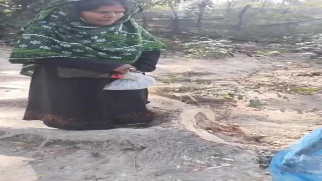 গলাচিপায় জোর পূর্বক গাছ কেটে নেওয়ায় বিচারের আশায় মানুষের দারে দারে বৃদ্ধা।
