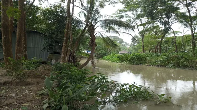 গলাচিপায় অস্তিত্ব হারানো খাল উদ্ধারের উদ্যোগ