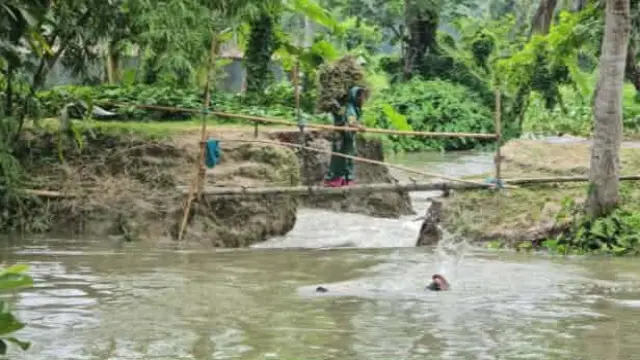 গলাচিপায় পানি নিষ্কাশনের জন্য কাটা বাঁধই এখন দুর্ভোগের কারণ, পানিবন্দী ৩ হাজার পরিবার