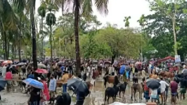 গলাচিপায় শেষ সময়ে জমজমাট কোরবানির হাট