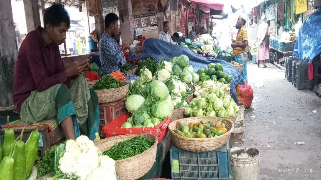 গলাচিপায় সরবরাহ বেড়েছে শীতকালীন সবজি কমছে দাম