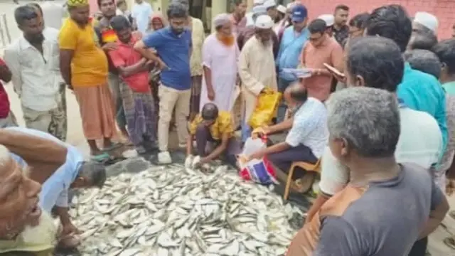 গলাচিপায় ১২০ কেজি জাটকা জব্দ