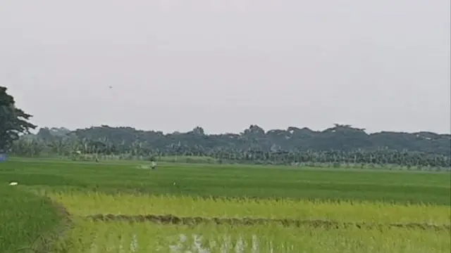 গলাচিপায় জমি নিয়ে বিরোধ, সংখ্যালঘু পরিবার দিশেহারা