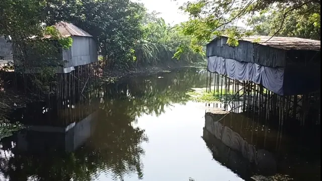 গোপালগঞ্জ সরকারি খাল দখল করে প্রভাবশালীর পোল্ট্রি ফার্ম, ভোগান্তিতে তিন গ্রামের অন্তত ২৫ হাজার লোক।