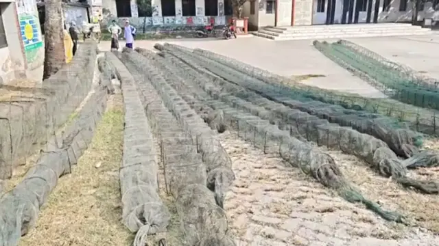 গোপালগঞ্জে বিভিন্ন বিলে অভিযান চালিয়ে ৪০ পিস নিষিদ্ধ চায়না জাল জব্দ, পুড়িয়ে ধ্বংস
