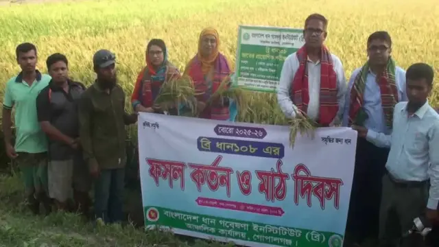 গোপালগঞ্জে ব্রি ১০৮ ধানের ফসল কর্তন ও মাঠ দিবস অনুষ্ঠিত