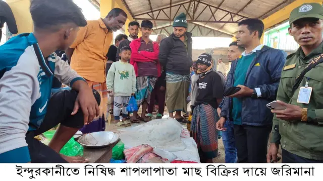 ইন্দুরকানীতে নিষিদ্ধ শাপলা পাতা মাছ বিক্রির দায়ে তিন ব্যবসায়ীকে জরিমানা; লক্ষাধিক টাকার মাছ জব্দ
