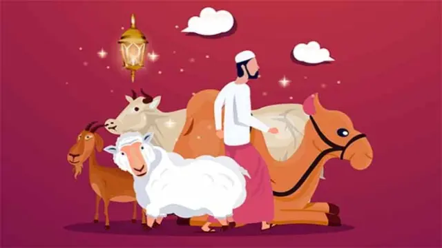 কুরবানির আগে যা গভীরভাবে চিন্তা করা উচিত