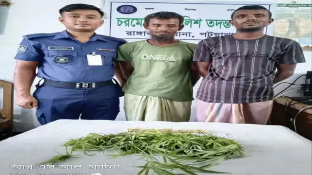 লাল শাকের খেতে গাঁজা গাছ, আটক দুই চাষি