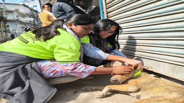 লাল সবুজ সোসাইটির উদ্যোগে ভিন্নধর্মী ও মানবিক প্রোগ্রাম