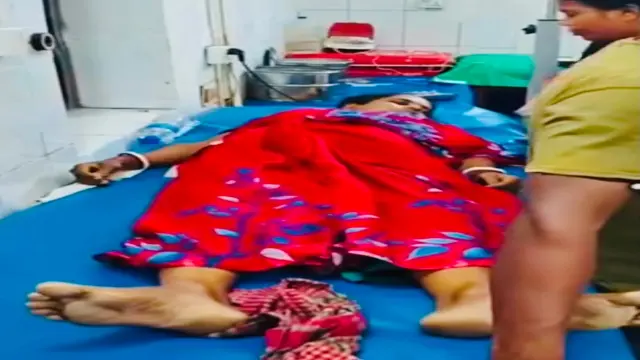 মেহেন্দিগঞ্জ বিষধর সাপের কামড়ে গৃহবধূর মর্মান্তিক মৃত্যু।