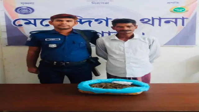 মেহেন্দিগঞ্জে ১ কেজি গাঁজা সহ মাদক ব্যবসায়ী গ্রেফতার।