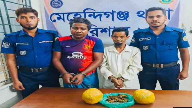 মেহেন্দিগঞ্জে বিপুল পরিমাণ গাঁজা সহ মাদক ব্যবসায়ী গ্রেপ্তার।