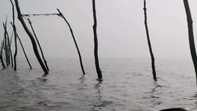 মেহেন্দিগঞ্জে চরঘেরা জাল দিয়ে চলছে মাছ  শিকার, হুমকির মুখে মৎস্য সম্পদ।