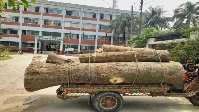 মেহেন্দিগঞ্জে খাজনার টাকা না দেওয়ায় গাছ সহ ২টি গাড়ি আটক।