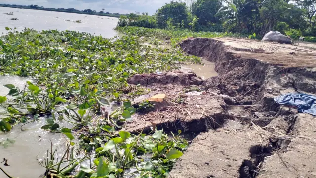 নদী ভাঙনে বসতভিটা  হারাচ্ছে মিয়ারচরের  বাসিন্দারা