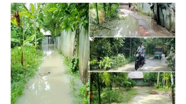 নির্বাচিত হলে কর্মসংস্থান সৃষ্টি করব: শামীম সাঈদী  জামায়াতে ইসলামীর মতবিনিময় সভা।