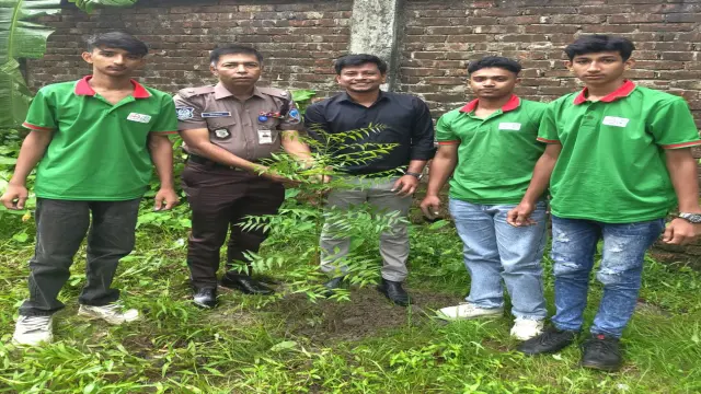 নোয়াখালীতে লাল সবুজের বৃক্ষরোপণ কর্মসূচি
