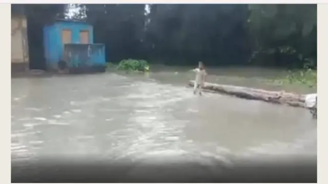 পিরোজপুরে বেড়িবাঁধ ভেঙে নিম্নাঞ্চল প্লাবিত